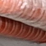 Archivo_escaneado_20260219-1335-06